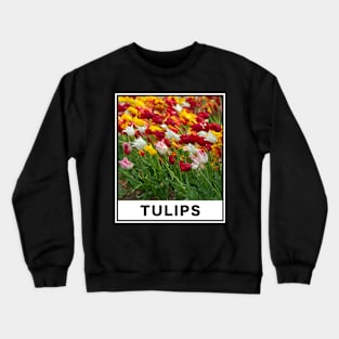 The Beauty of Colorful Tulip Flower Accompanied by a Gentle Breeze Photography Crewneck Sweatshirt